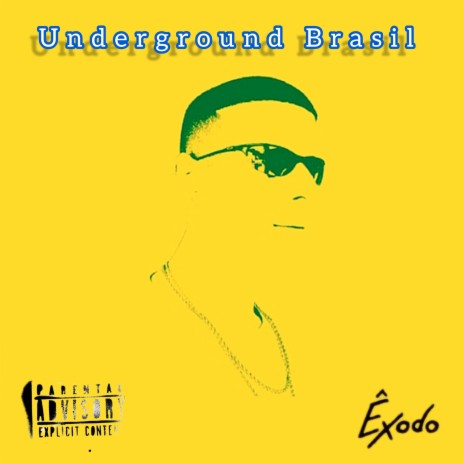 Introdução cover art