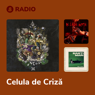 Celula de Criză Radio