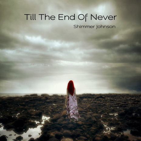 Till The End Of Never cover art