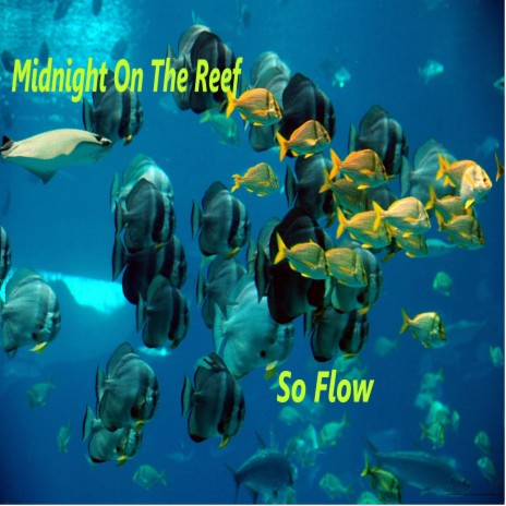 Midnight On The Reef cover art