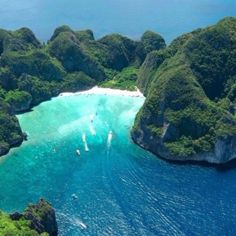 Backseat cover art