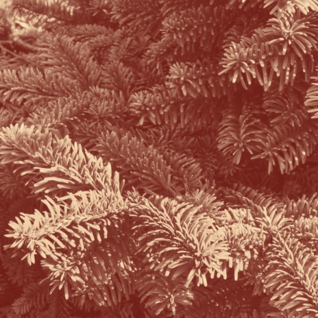 Under The Pine Tree cover art