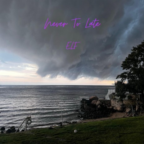 Never To Late cover art