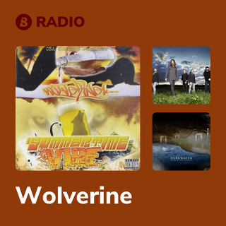 Wolverine Radio
