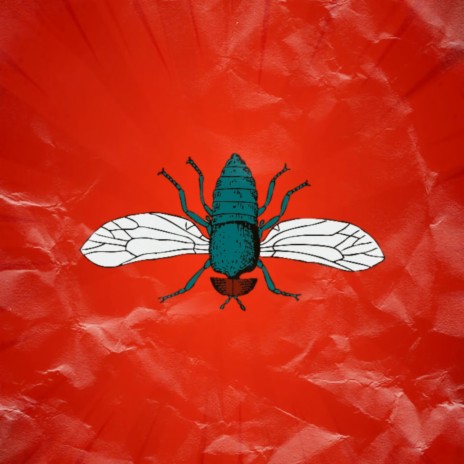 Fly ft. Matché cover art