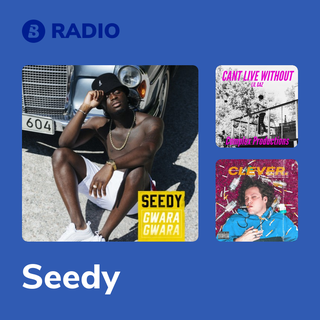 Seedy Radio