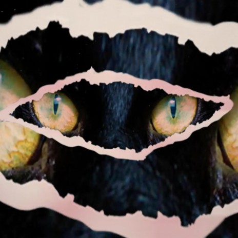 Skinwalker
