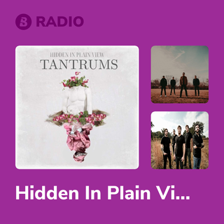 Hidden In Plain View Radio