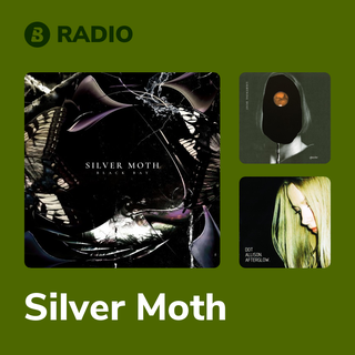 Silver Moth Radio