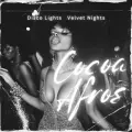 Disco Lights, Velvet Nights