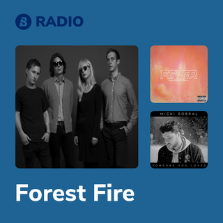 Forest Fire Radio
