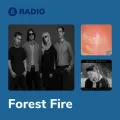 Forest Fire Radio