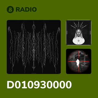 D010930000 Radio