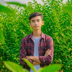 author avatar