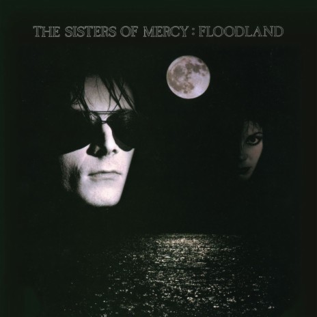 Driven Like the Snow (Vinyl Version)