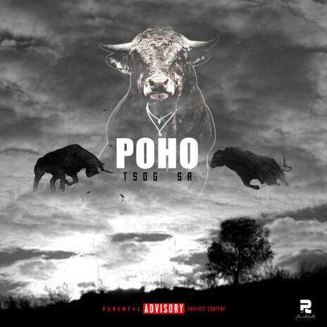 POHO cover art