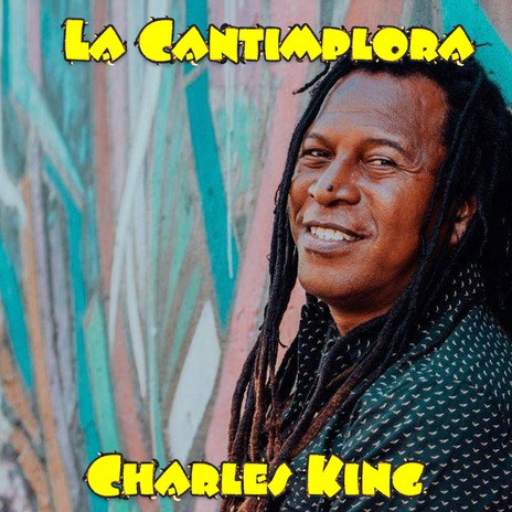 La Piraña (Remix) cover art