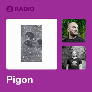 Pigon Radio