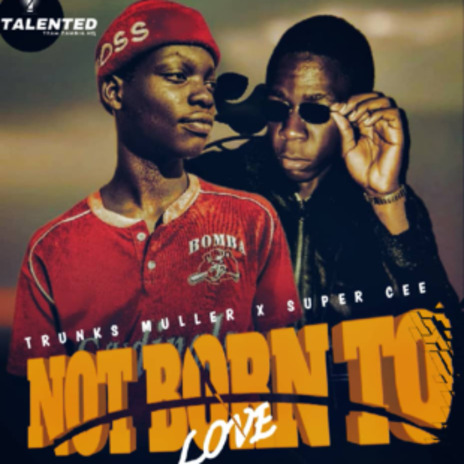 Not Born To Love cover art