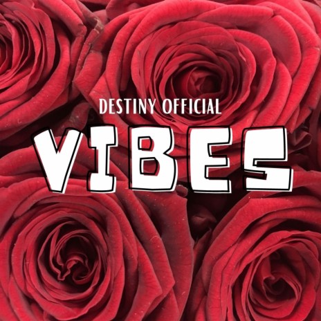Vibes cover art