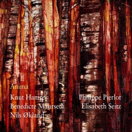 Springar ft. Knut Hamre, Nils Økland, Elisabeth Seitz & Philippe Pierlot cover art