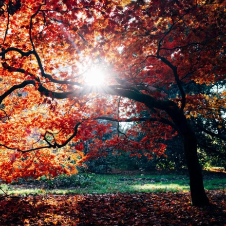 Changing Seasons cover art