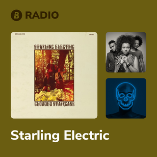 Starling Electric Radio