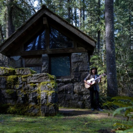 Out Of The Cage, Into The Wind cover art