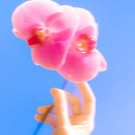 toldmyself