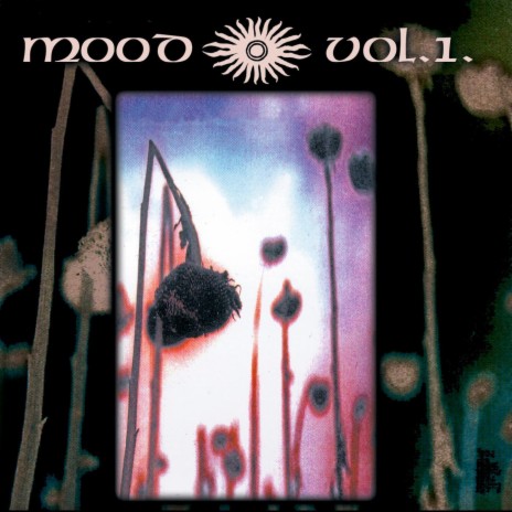 The Shell cover art