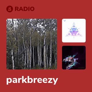 parkbreezy Radio