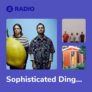 Sophisticated Dingo Radio