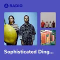 Sophisticated Dingo Radio