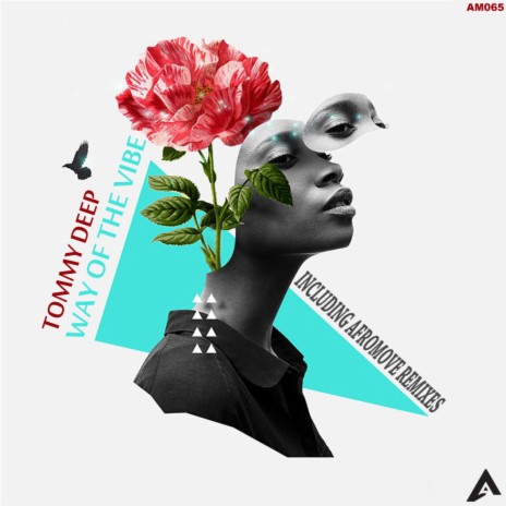 Way Of The Vibe (Original Mix) cover art