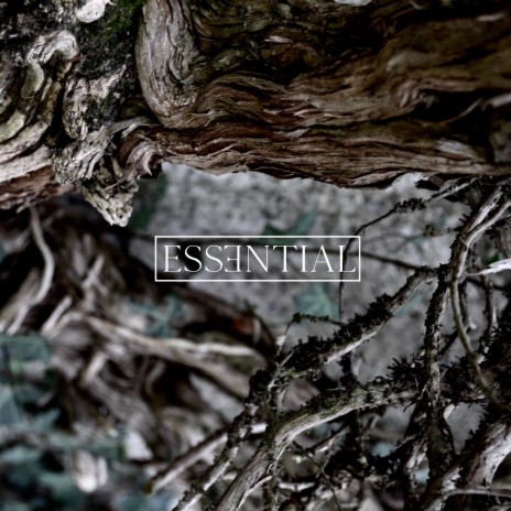 Besutten & Bespottad ft. Mattias Fridell cover art
