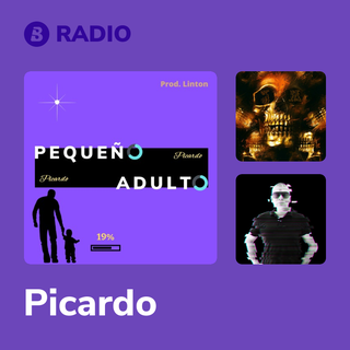 Picardo Radio