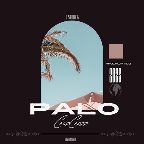 Palo cover art