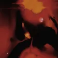Tiramisu (Instrumental)