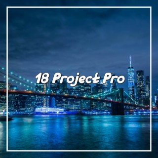 18 Project Pro
