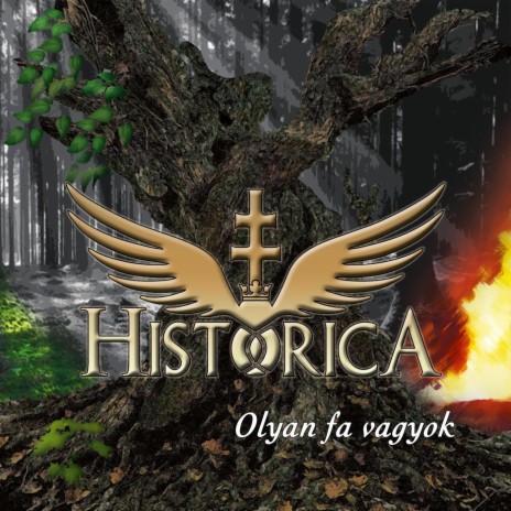 A koncert véget ér