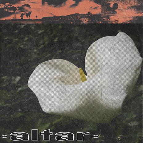 Scarred cover art
