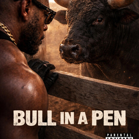 Bull in a pen cover art