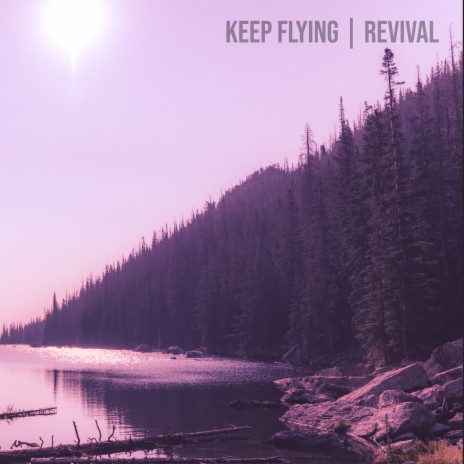 They Never Lie Down (Revisited)