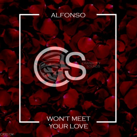 Won't Meet Your Love (Single Love Mix) cover art