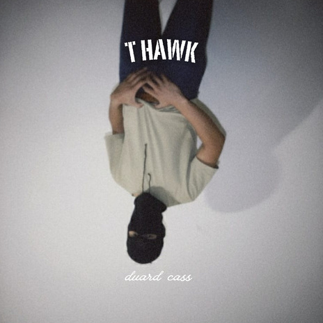 T Hawk cover art