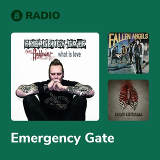 Emergency Gate Radio