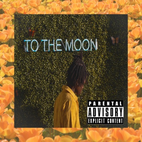 Shinning cover art