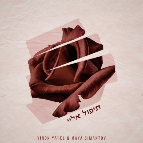 תיפול אליי cover art