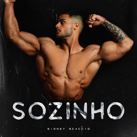 Sozinho cover art
