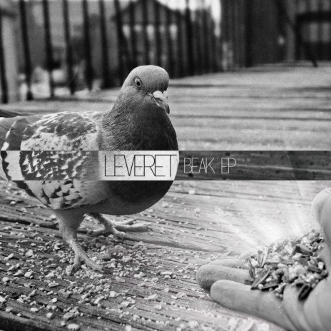 Beak
